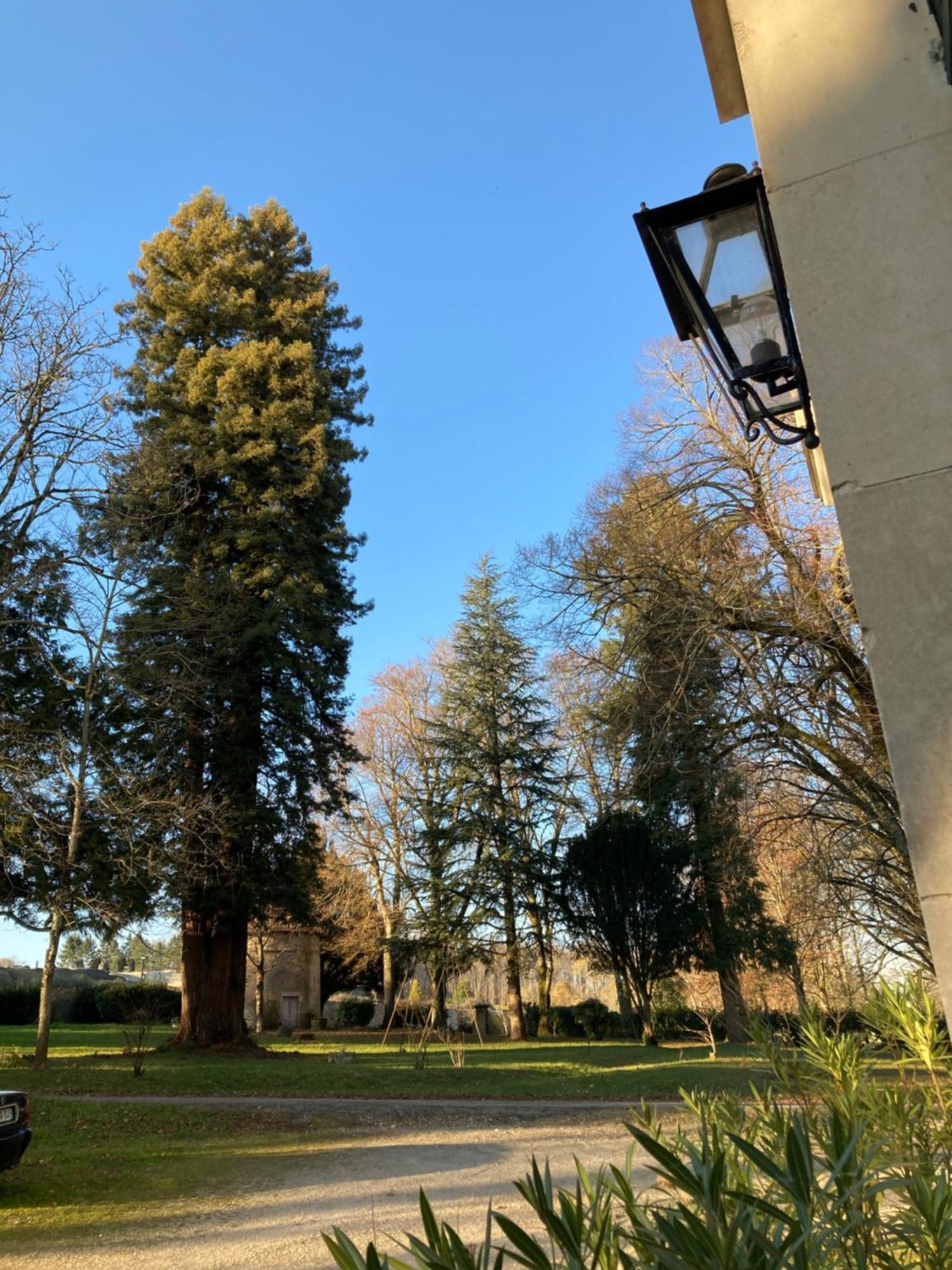 Chateau De Chasseneuil Sur Bonnieure المظهر الخارجي الصورة
